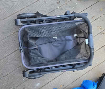 Photo of free Small dog owners (N Mary Ave, Sunnyvale) #3