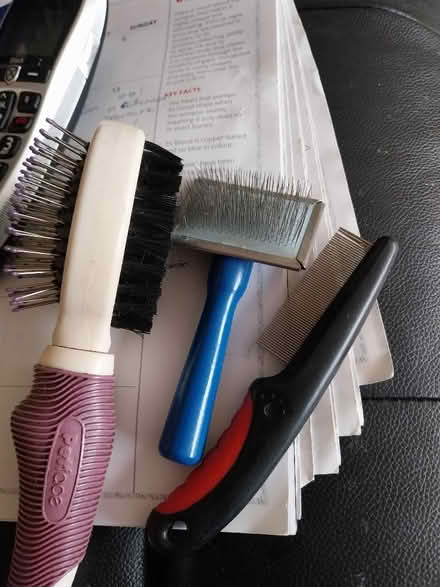 Photo of free Cat scratchers, toys, beds etc. (Hoole CH2) #2