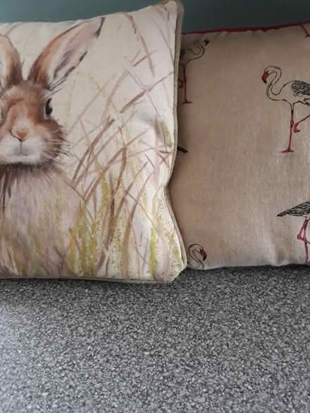 Photo of free 2 cushions of rabbit and flamingo (Bedford MK40) #1