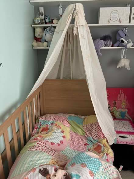 Photo of free Winnie the Pooh cot canopy (Parson Cross S5) #2