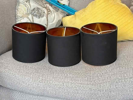 Photo of free Light shades (hastings tn34) #1