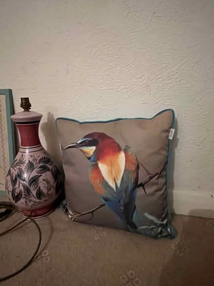 Photo of free Bird cushion with teal reverse (Copley Hill WF17) #1