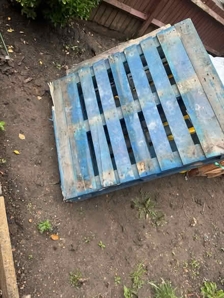 Photo of free Pallets (Balham SW12) #1