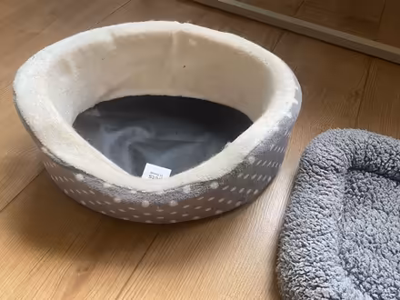 Photo of free Beds for small cat (CT11) #4