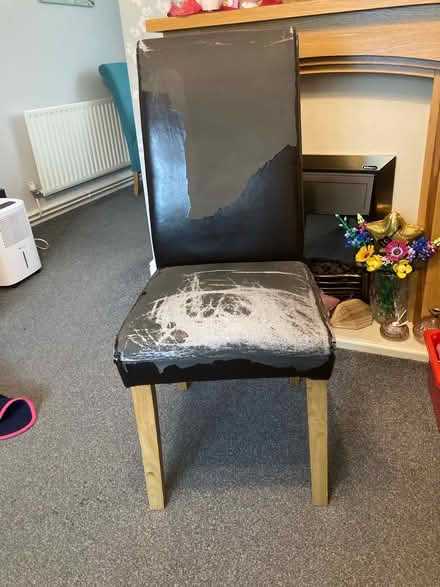 Photo of free Dining room chairs (DY2) #4