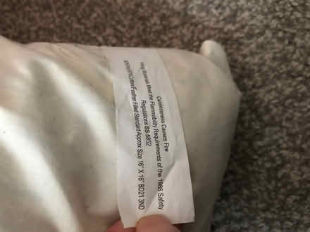 Photo of free Three feather cushions (Egerton Park CH42) #2
