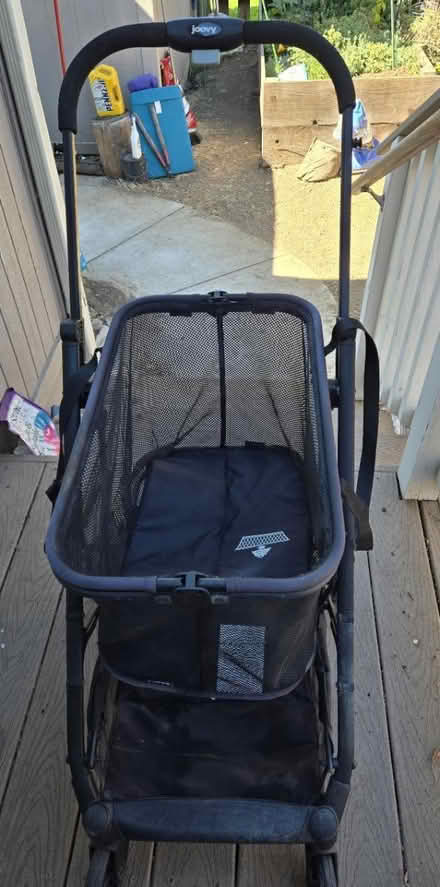 Photo of free Small dog owners (N Mary Ave, Sunnyvale) #2