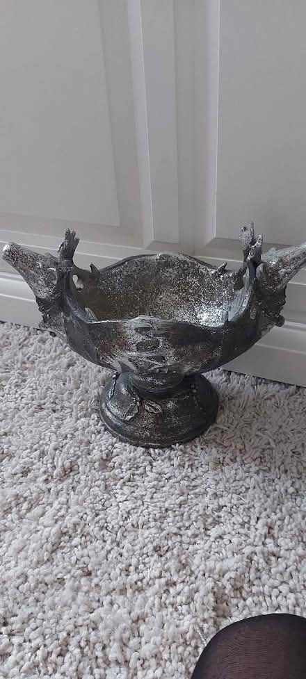 Photo of free Reindeer Dish (Bramhall SK12) #1