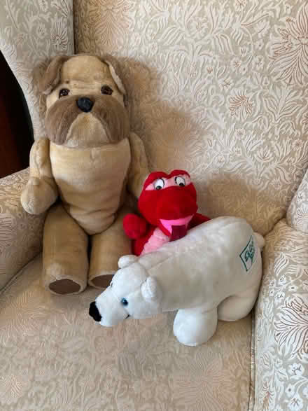 Photo of free 3 soft toys (Newport Pagnell MK16) #1