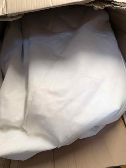 Photo of free bean bag inner (Worcester WR1) #1