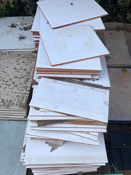 Photo of free White wall tiles (Stanfree S44) #1
