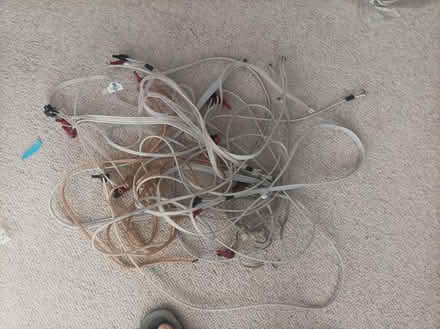 Photo of free Speaker cable (Blackheath SE3) #1
