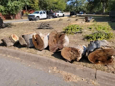 Photo of free wood (Kerrville) #2