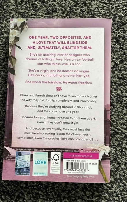 Photo of free If we ever meet again book (Birchfield B20) #2