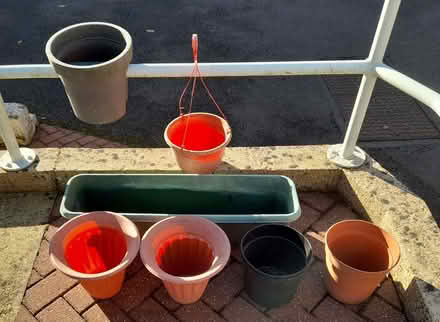 Photo of free Selection of plant pots (Pound Hill RH10) #1