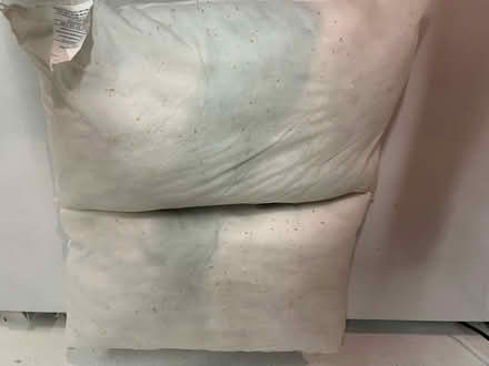 Photo of free 13” x 20” lumbar pillow inserts (Sunnyvale - Ponderosa Park) #1