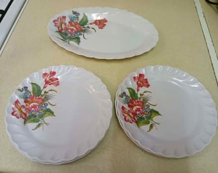 Photo of free Plastic plates (Sale M33) #1