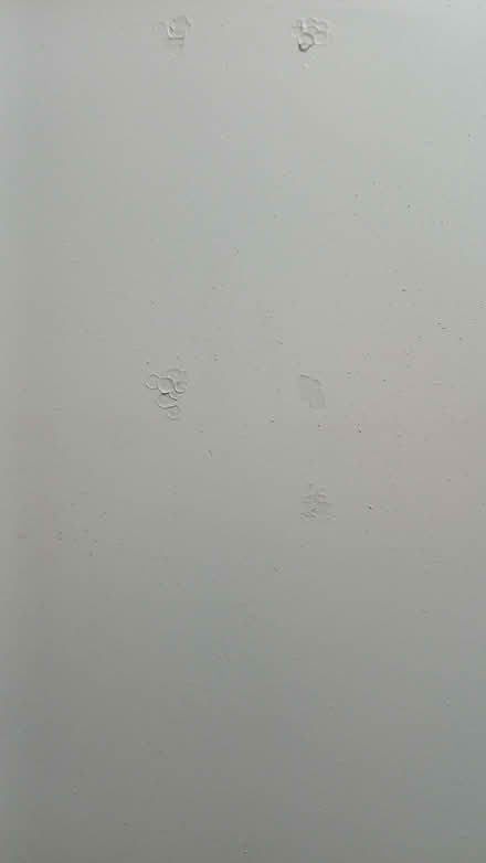 Photo of free Storage Drawers (Bowerhill SN12) #2