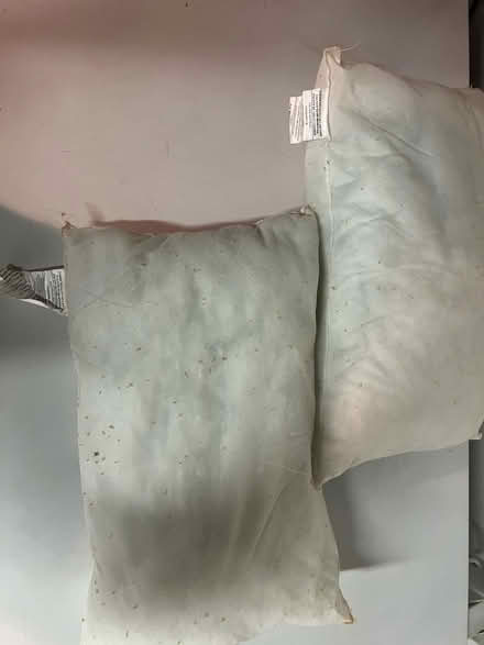 Photo of free 13” x 20” lumbar pillow inserts (Sunnyvale - Ponderosa Park) #2