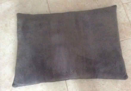 Photo of free Dog bed/cushion (Stratford-upon-Avon) #2