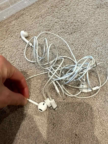 Photo of free 2 pairs apple headphones (Frome, Stonebridge) #1