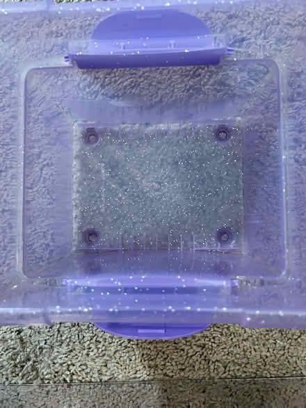 Photo of free Purple Plastic Tote (Owings Mills,MD) #2