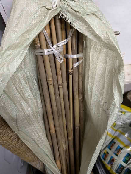Photo of free Bag 4ft bamboo canes (Worcester WR1) #1