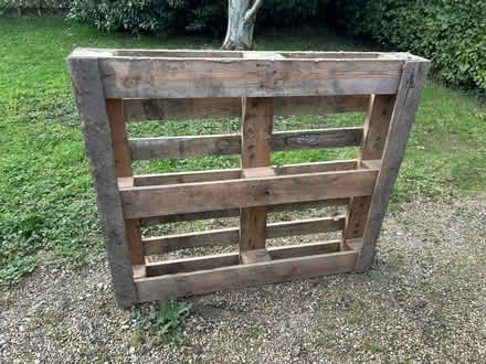 Photo of free Wooden pallet (Hellingly BN27) #2