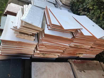 Photo of free White wall tiles (Stanfree S44) #2