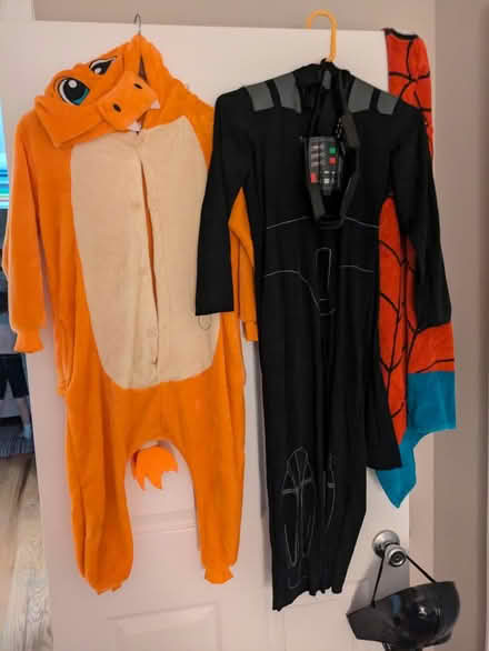 Photo of free Costumes 7-8 yr old + hooded towel (Takoma DC) #1