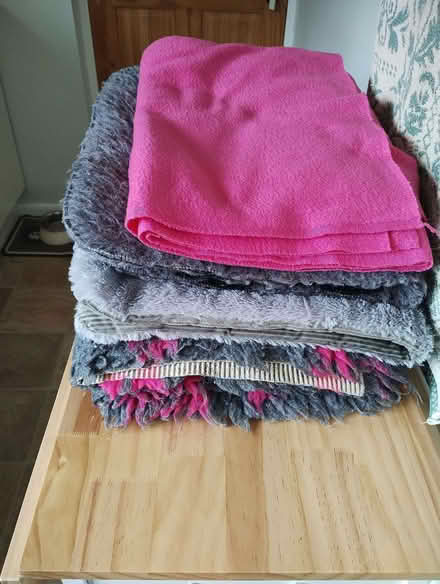 Photo of free Pet bedding (Netherfield, Kendal LA9) #1