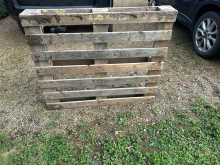 Photo of free Wooden pallet (Hellingly BN27) #1