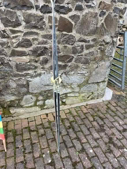 Photo of free Cross country skis (Newport on Tay DD6) #2