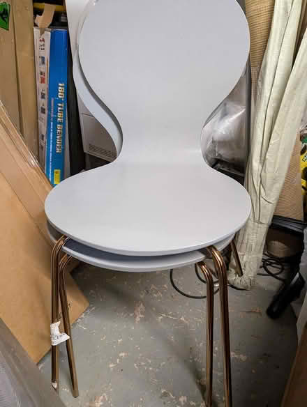 Photo of free 2 modern dining chairs (Worcester WR1) #1