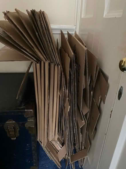 Photo of free Several cardboard boxes for moving (Lansdown) #1