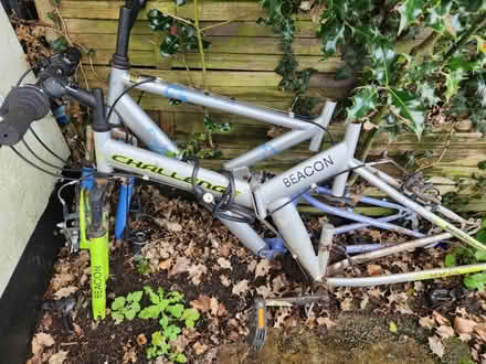 Photo of free Bikes (Farnborough GU14) #3
