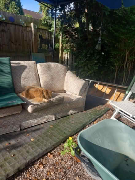 Photo of free Old sofa (S8) #1