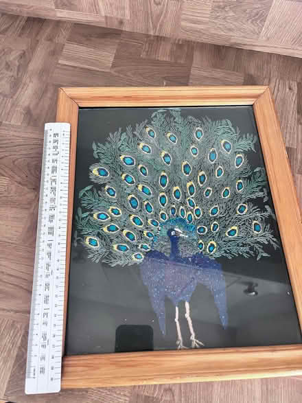 Photo of free stitched peacock in frame. (Downley HP13) #2