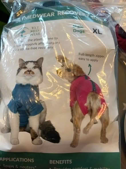 Photo of free Cat or dog recovery suit post op (Surrenden BN1) #1