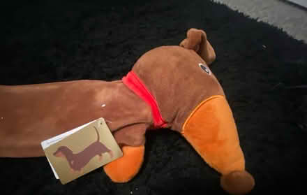 Photo of free Dachshund Hot water bottle (Tovil ME15) #1