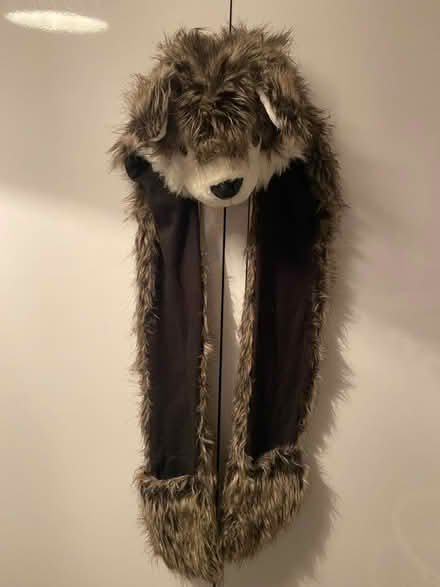 Photo of free Wolf hat (with attached gloves) (Tovil ME15) #1