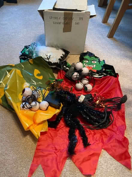 Photo of free Halloween Decorations (Worcester Park) #1