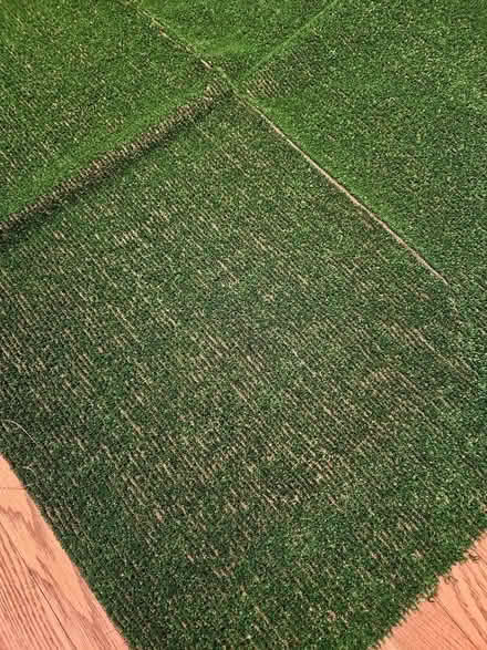 Photo of free Artificial Grass/Turf - 71" x 84" (Anaheim, CA) #2