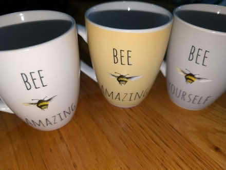 Photo of free Bee mugs (yapton) #1