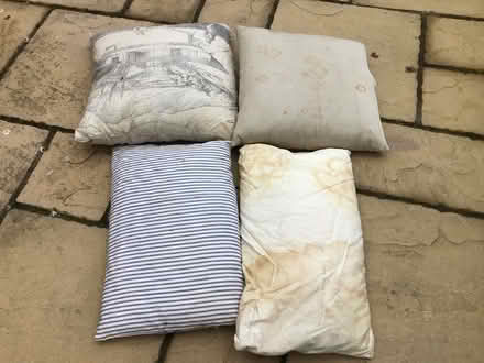 Photo of free 4 x Old Feather Pillows / Cushions (CV22 Bilton) #2