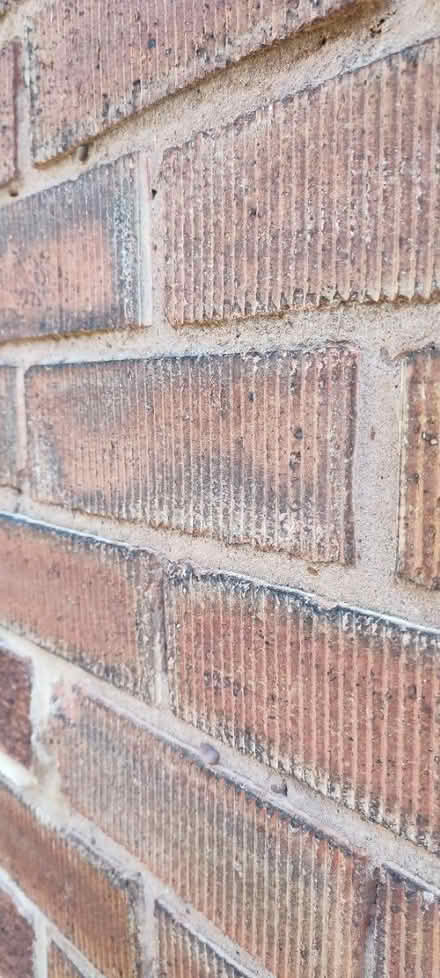 Photo of Bricks (Frechville) #1