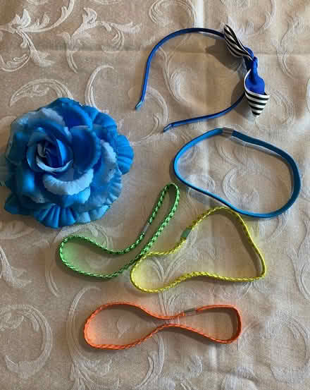 Photo of free Hair accessories (Bolingbrook - Rt 53) #2