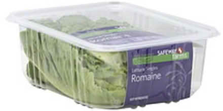Photo of flat lids from plastic tubs (Terra Linda - San Rafael) #1