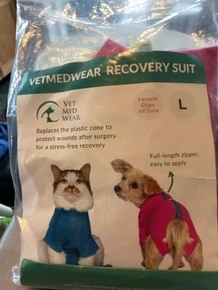 Photo of free Female Dog/cat recovery suit post op large (Surrenden BN1) #1