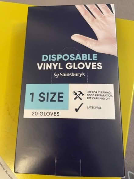 Photo of free Disposable Vinyl Gloves (Pimlico SW1V) #1